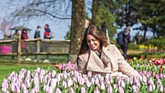 Why not tiptoe through the tulips at Keukenhof this spring?