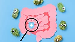 Study suggests humans may have lost some gut bacteria to digest fibre