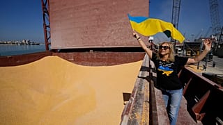 ЕС временно приостановил действие всех тарифов и квот на экспорт сельскохозяйственной продукции из Украины после полномасштабного вторжения России в Украину в 2022 году.