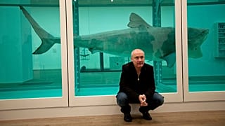 Damien Hirst beside the 1991 piece "The Physical Impossibility of Death in the Mind of Someone Living"