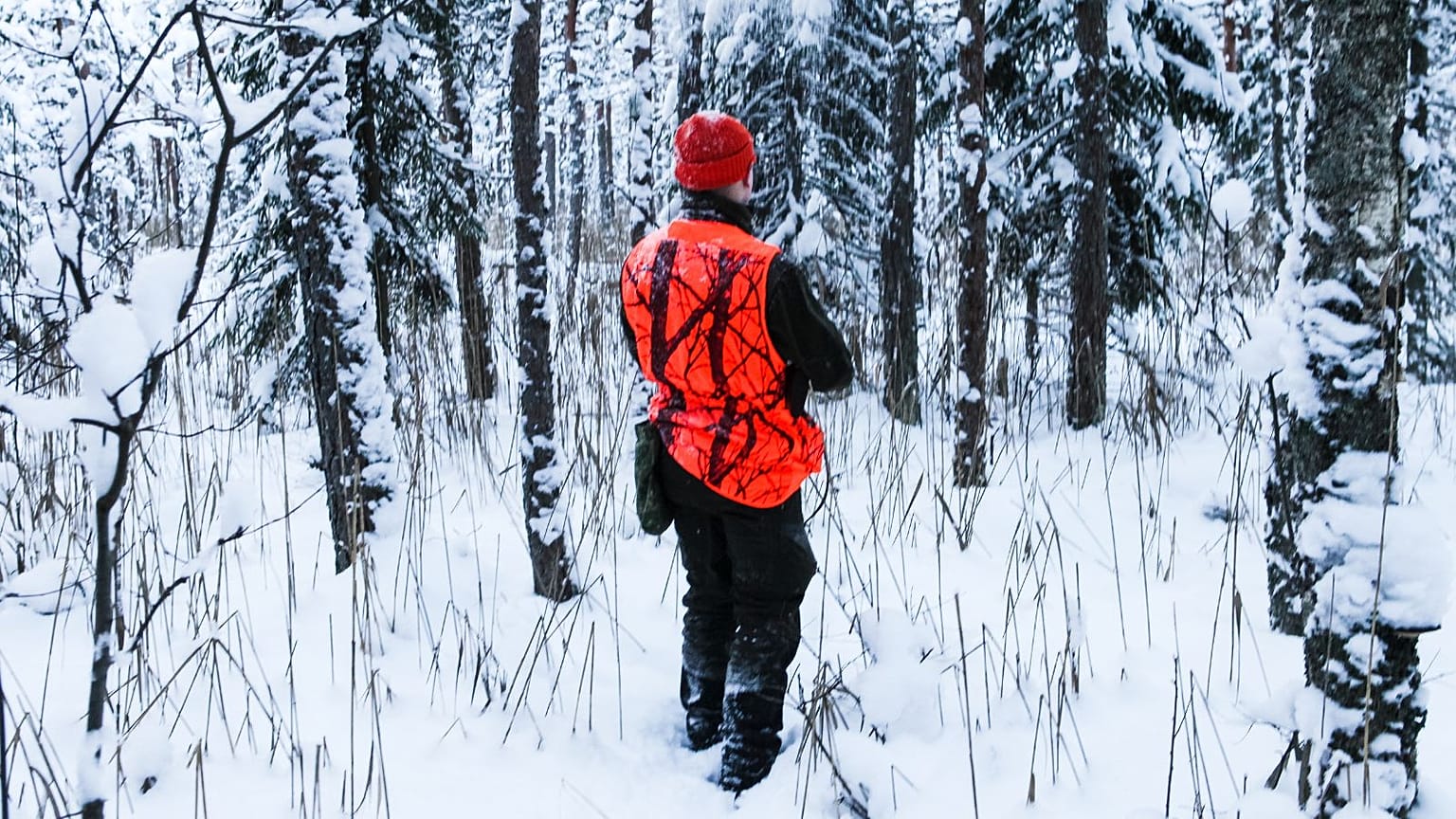 Up to 40% of Estonia’s wolves were shot this winter. Neither hunters or environmentalists are happy about it.
