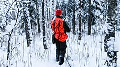 Up to 40% of Estonia’s wolves were shot this winter. Neither hunters or environmentalists are happy about it.