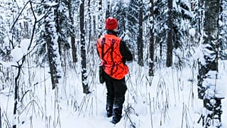 Up to 40% of Estonia’s wolves were shot this winter. Neither hunters or environmentalists are happy about it.