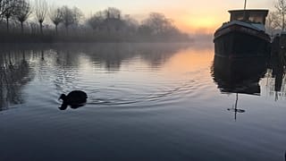Les Pays-Bas possèdent le réseau de transport fluvial le plus dense d'Europe