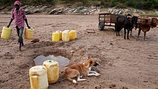 Un homme porte des cruches pour aller chercher de l'eau dans un trou dans le lit d'une rivière sablonneuse dans le comté de Makueni, au Kenya, le jeudi 29 février 2024.