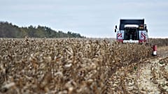 Die Europäische Kommission befürchtet, dass Russland seine Produktionskapazitäten ausnutzen könnte, um den EU-Markt mit Billiggetreide zu überschwemmen.
