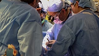 Des chirurgiens ont réussi à transplanter pour la première fois un rein de porc chez un patient vivant. Image du 16 mars 2024, Massachusetts General Hospital de Boston.