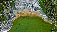 Mérgező kék-zöld alga virágzik a Balti-tengerben, a Stockholmhoz közeli Tyreso partjánál 2020. június 25-én – képünk illusztráció.