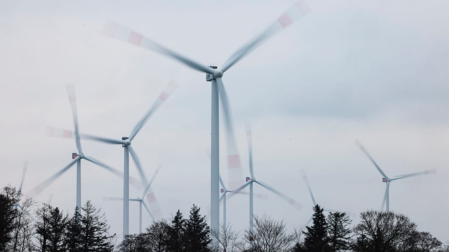  Un parco eolico a Sprakebuell, in Germania