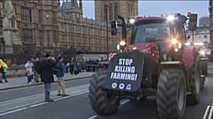 Britische Landwirte protestierten in London gegen Lebensmittelimporte.