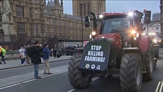 Britische Landwirte protestierten in London gegen Lebensmittelimporte.