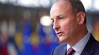 İrlanda Dışişleri Bakanı Micheal Martin 
