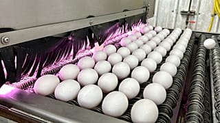 Eggs are cleaned and disinfected at the Sunrise Farms processing plant in Petaluma, Calif., on Thursday, Jan. 11, 2024.