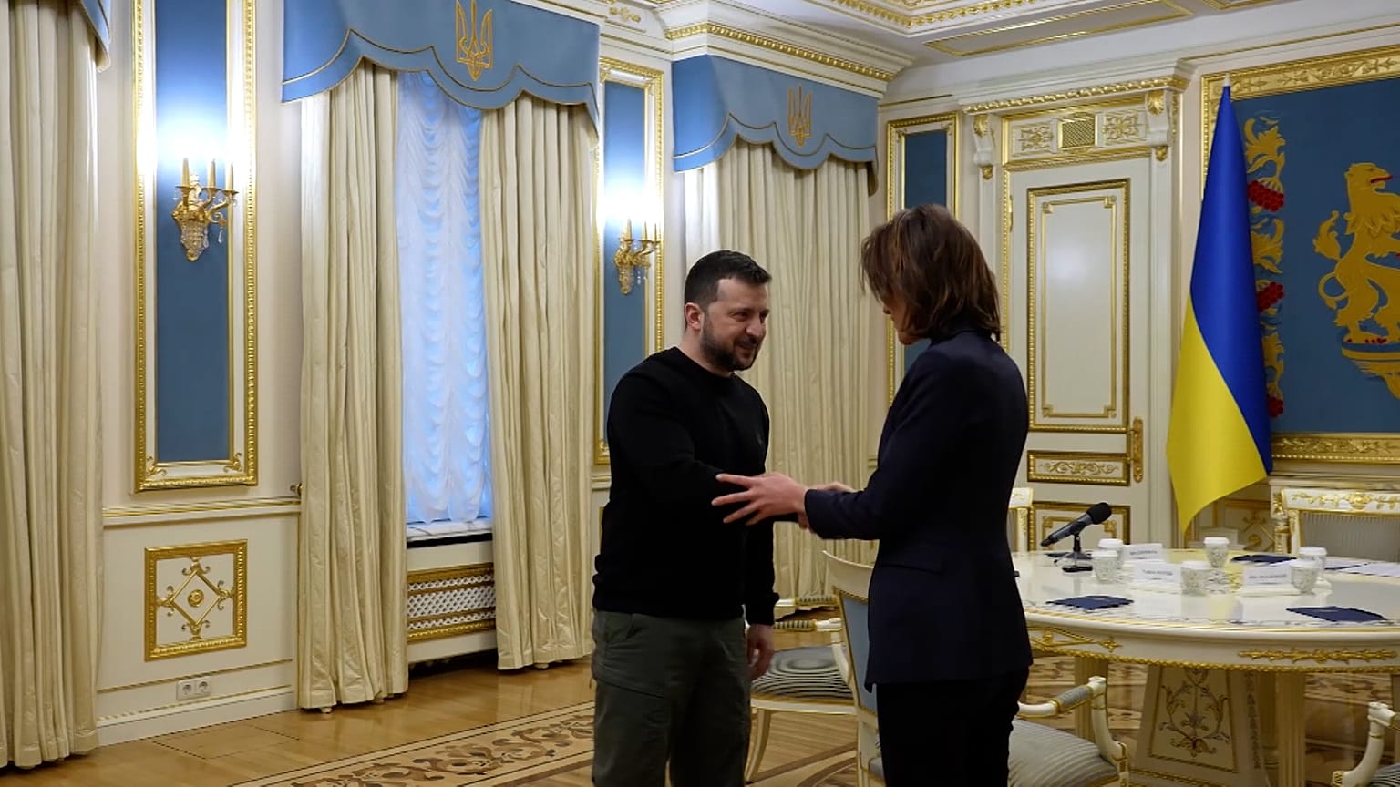 Президент Украины Владимир Зеленский и лидер фракции "Обновляя Европу" Валери Айе