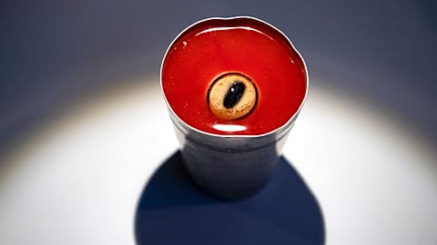 A screen grab for an exhibt in Berlin's Disgusting Food Museum. 