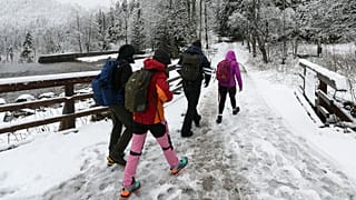 A vihar a zakopanei síüdülőhely közelében is halálos balesetet okozott – képünk illusztráció