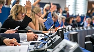 Die Europa-Abgeordneten bei einer Abstimmung