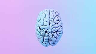 Human brains are getting larger. That may be good news for dementia risk