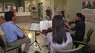 Ein Streichquartett spielt beruhigende Töne für Krebspatienten in Australien. 