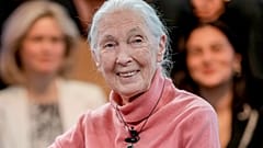 Jane Goodall