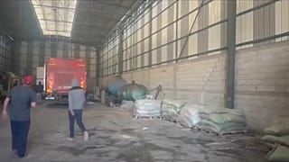 الفاو تقدم علف المواشي للفلاحين في غزة