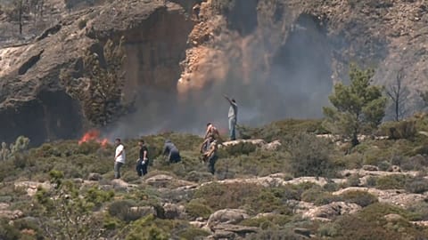 Citizens attempting to put out the weekend wildfire on the Greek island of Crete.  