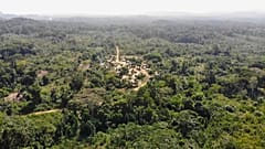 In the past year, the Liberian government has agreed to sell about 10 per cent of the West African country's land to Dubai-based company Blue Carbon.
