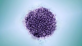 Diese kolorierte elektronenmikroskopische Aufnahme, die von der Rockefeller University und dem NIAID zur Verfügung gestellt wurde, zeigt ein Hepatitis-C-Virus