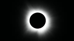 Totality is seen during a solar eclipse during a mass wedding ceremony at Trenton Community Park.