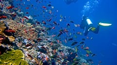 Ωκεανός