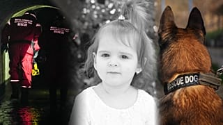 Nagy erőkkel keresték a kétéves Danka Ilićet
