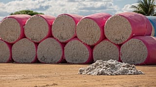 Cotton bales in Western Bahia, June 2023.