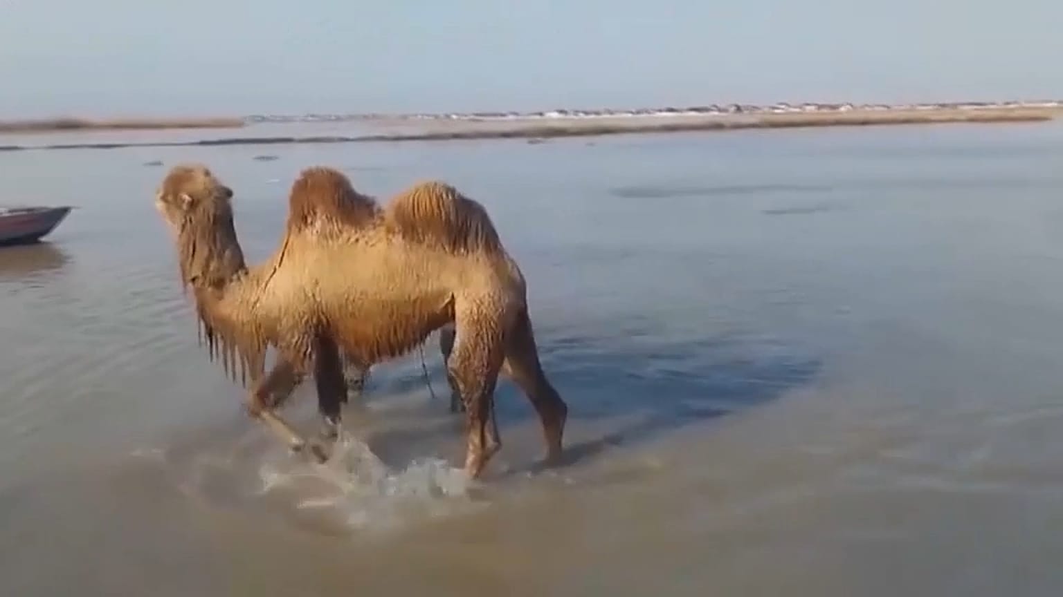 فيضانات في كازاخستان 