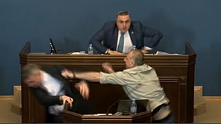  Puñetazo al líder de la coalición de fuerzas gobernante en el parlamento de Georgia.