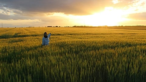 Dreaming of the French countryside? These are some of the best hotels to visit