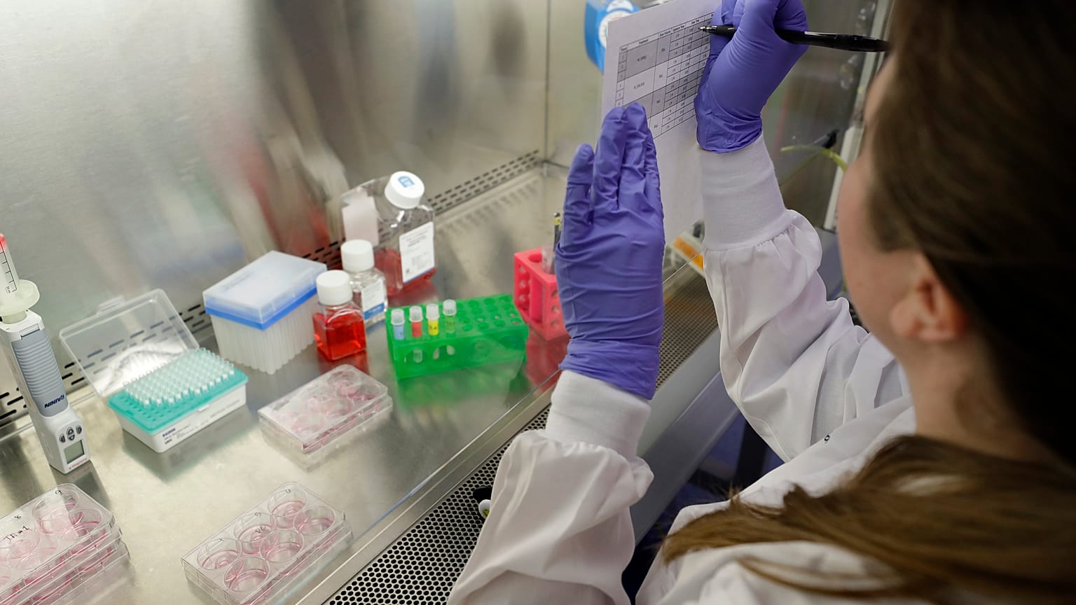 Letta stresses the need to leverage the Single Market to strengthen the healthcare sector