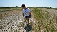 Landwirtin Elisa Moretto auf ihrem vertrocknetem Reisfeld in Porto Tolle, Italien, Juli 2022. 