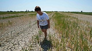 La agricultora Elisa Moretto camina por su campo de arroz seco en Porto Tolle, Italia, julio de 2022.