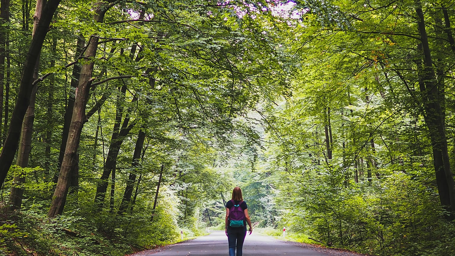 From a planted walkway in the heart of Paris to a cross-border odyssey, here are our top picks for rail trails in Europe. 
