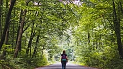 From a planted walkway in the heart of Paris to a cross-border odyssey, here are our top picks for rail trails in Europe. 