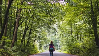 From a planted walkway in the heart of Paris to a cross-border odyssey, here are our top picks for rail trails in Europe. 