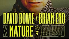 Earth Day: David Bowie Featuring Mother Nature - What is Sounds Right?  