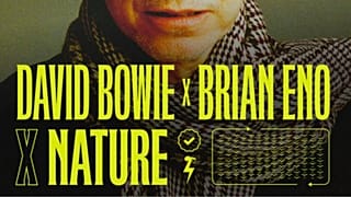 Earth Day: David Bowie Featuring Mother Nature - What is Sounds Right?