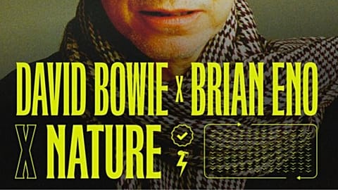 Earth Day: David Bowie Featuring Mother Nature - What is Sounds Right?  