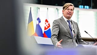 Der akkreditierte Assistent des Europaabgeordneten Maximilian Krah ist wegen Spionageverdachts verhaftet worden.