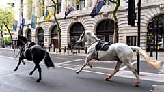 Süvari Birliği'nden kaçan atlar Londra sokaklarında başıboş koşarak trafiği aksattı, kent sakinlerini şaşkınlığa uğrattı