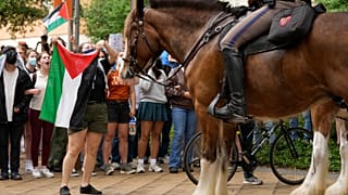 طالبة في جامعة تكساس، ترفع العلم الفلسطيني أمام أحد جنود الولاية في مظاهرة مؤيدة للفلسطينيين في جامعة تكساس. 2024/04/24