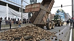 Protestierende Landwirte kippen vor dem Gebäude des Europäischen Rates Obst und Gemüse auf die Straße. Brüssel, 26. März 2024