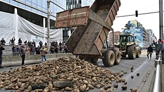 Protestierende Landwirte kippen vor dem Gebäude des Europäischen Rates Obst und Gemüse auf die Straße. Brüssel, 26. März 2024