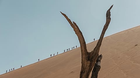 The Big Daddy dune is a popular - and steep - climbing spot in Namibia